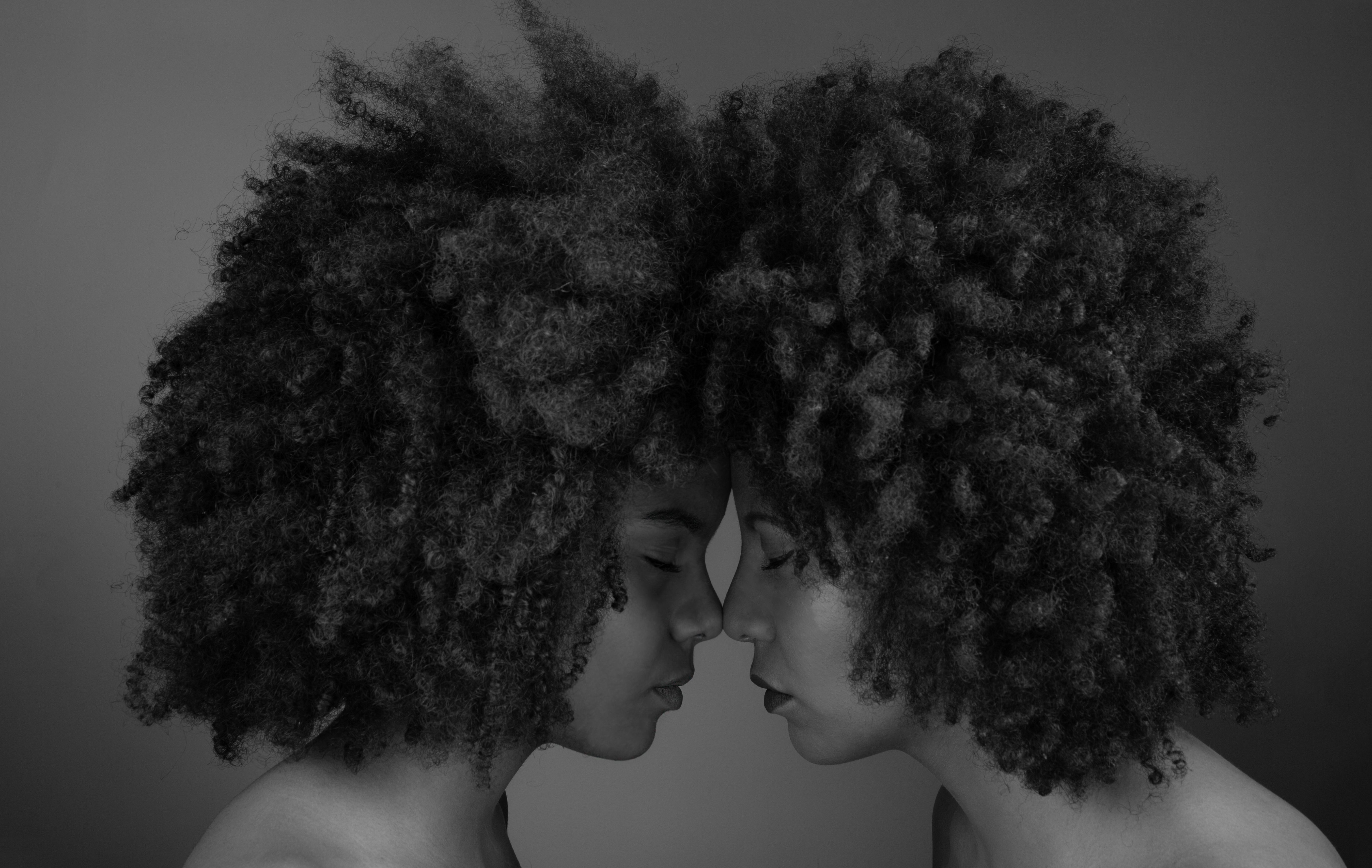 Shea Moisture vs Cantu comparison